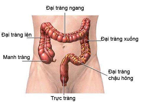 Các bệnh thường gặp ở đại trực tràng