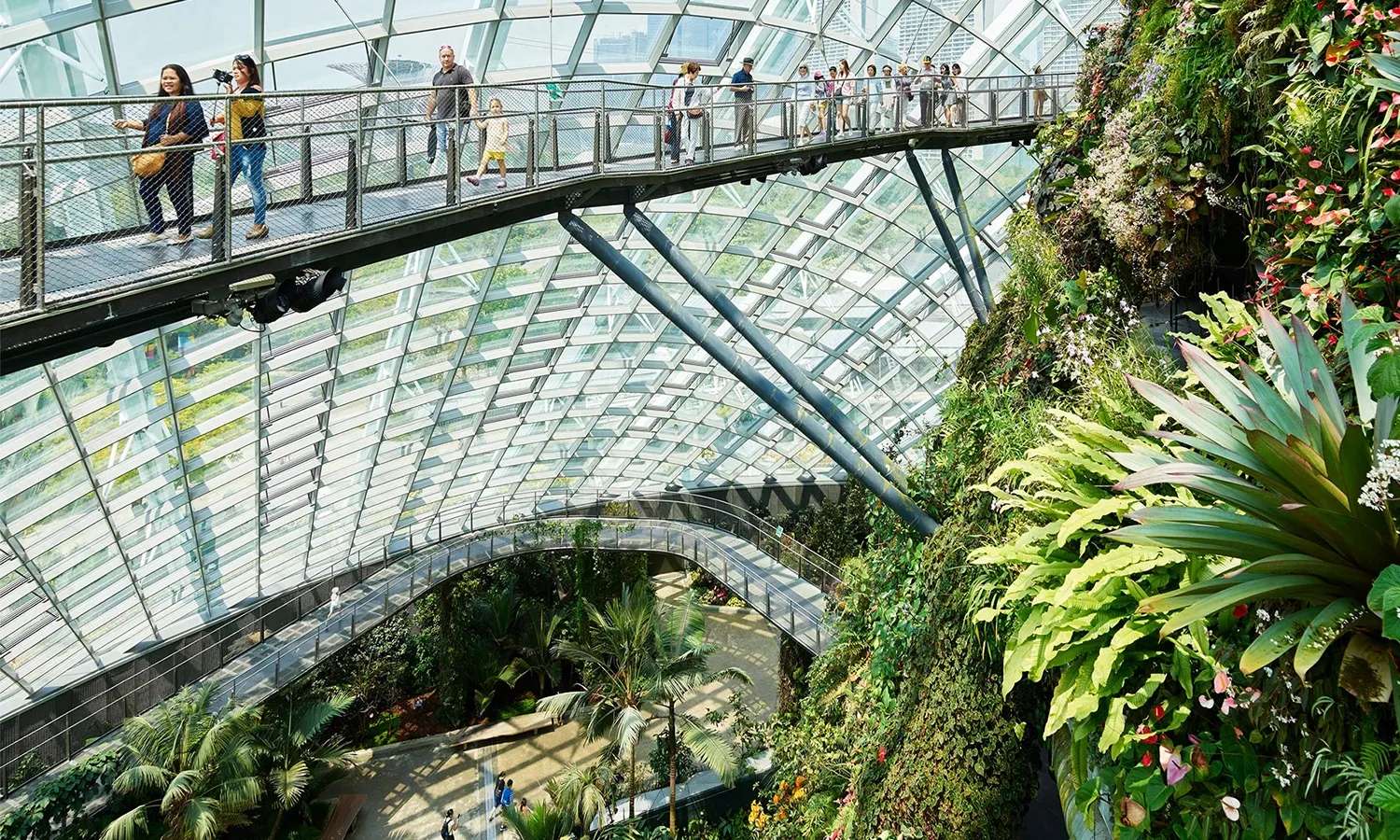 gardens by the bay