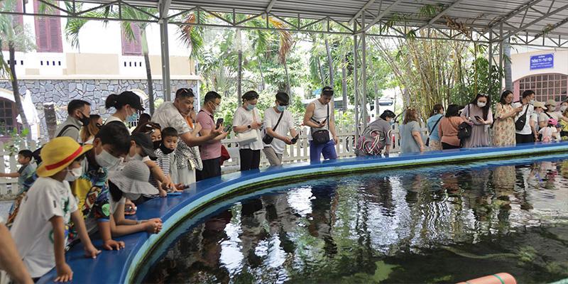 Viện Hải dương học Nha Trang: Trọn bộ kinh nghiệm tham quan thủy cung huyền diệu giữa lòng thành phố biển từ A đến Z