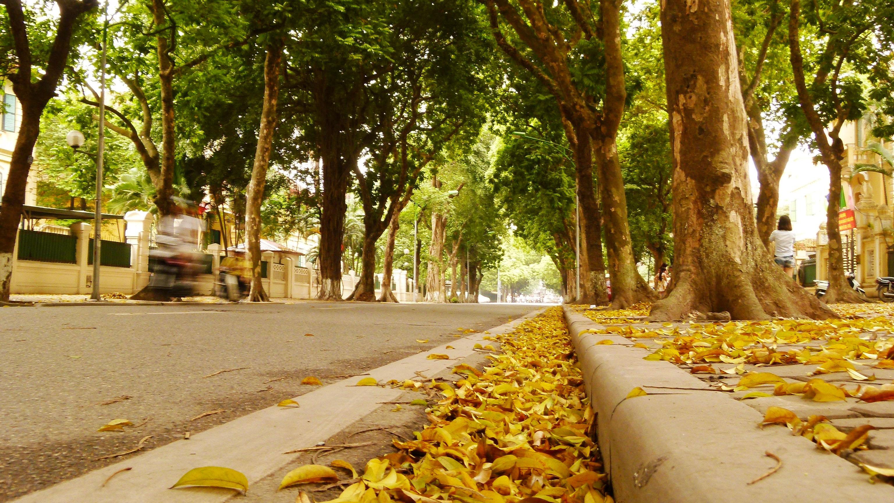 đi Hà Nội