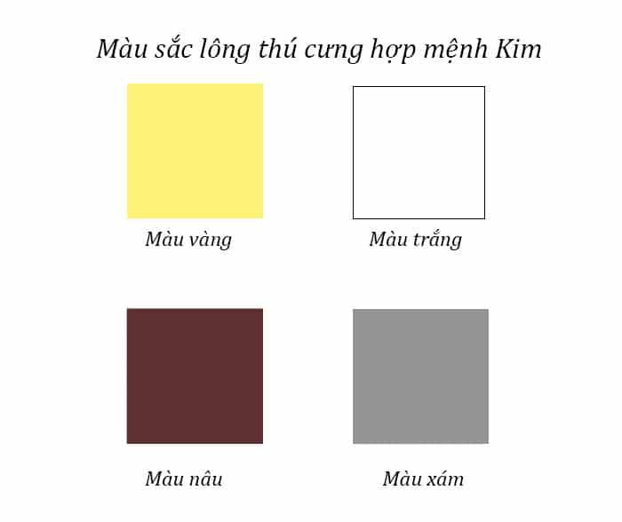 Ích lợi khi nuôi thú cưng hợp mệnh Kim