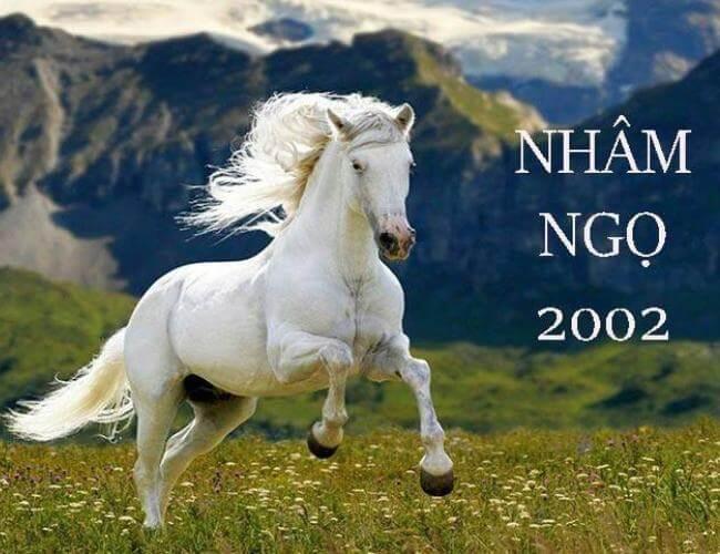 Tử vi tuổi Nhâm Ngọ nam, nữ mạng 2002 năm 2024: Đại vận chuyển mình, bứt phá hay trì trệ?